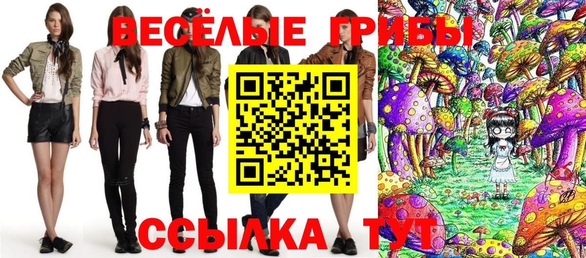Псилоцибиновые грибы мицелий  Вход с VPN  Знаменск 